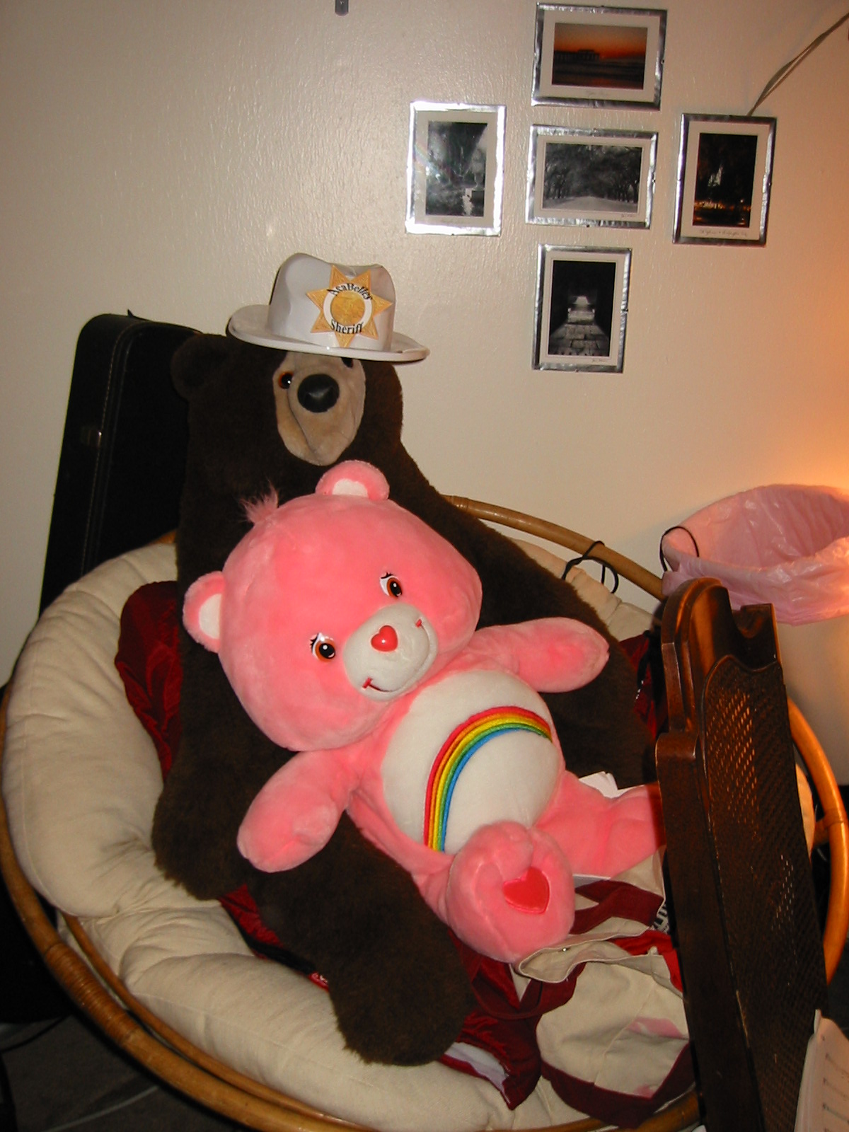 bears.jpg